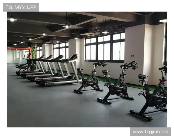 阳光下的力量之源室外健身设备全解析