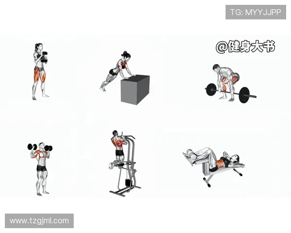 高效的家用健身计划：无需器械的全身锻炼