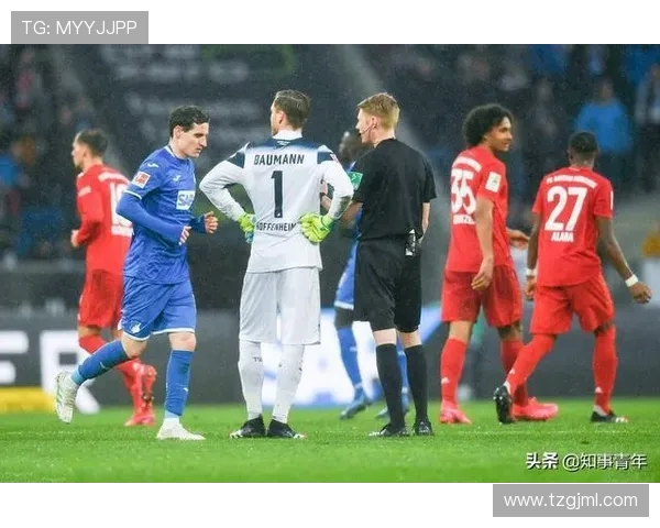 德甲球队的队规内容揭秘：内部纪律与文化制度