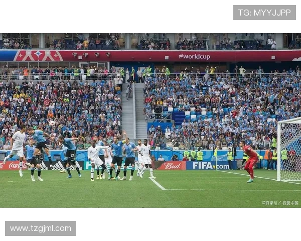 法甲最具影响力的球迷：法甲联赛中最具影响力的球迷团体